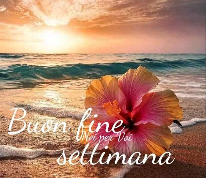 <a href="/VieNatureSavoir/">Ⓜ️ⒶⓇⒸ ღ</a>