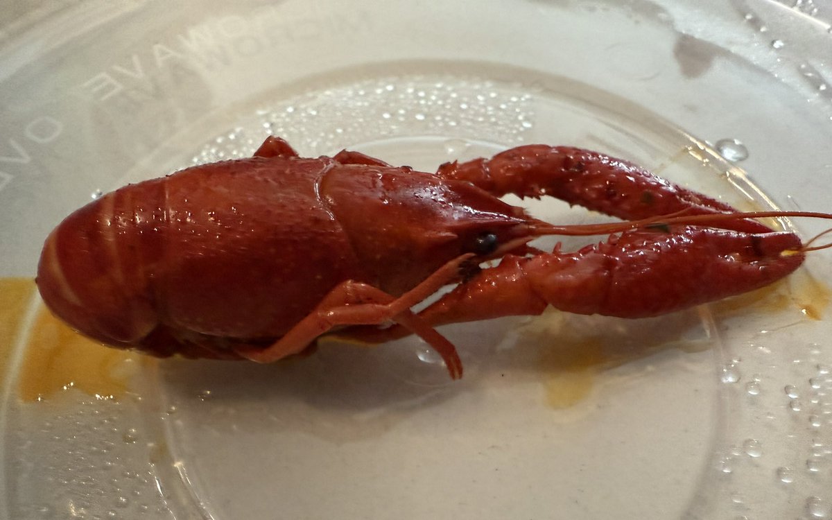 中国人の大好物　ザリガニ🦞
#ざりがに #小龙虾 #ざりがに