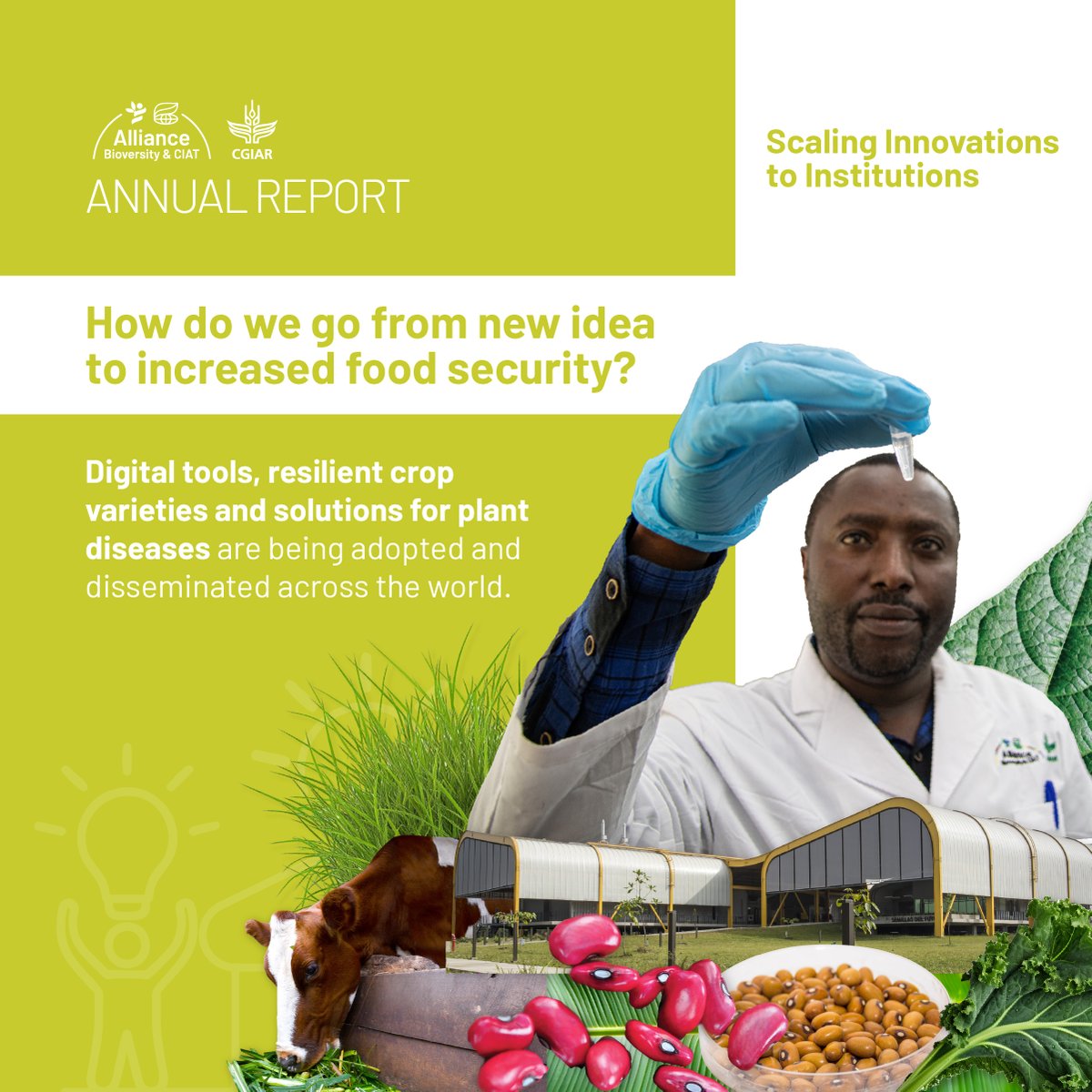 🌍 Systemic change requires that best practices are adopted by stakeholders at all levels. 🌾📱 From climate-resilient crops to digital information platforms, the Alliance ensures that discoveries are adopted at scale. 🚀 See how in our Annual Report!👇 allbiociat.org/45CGH8i