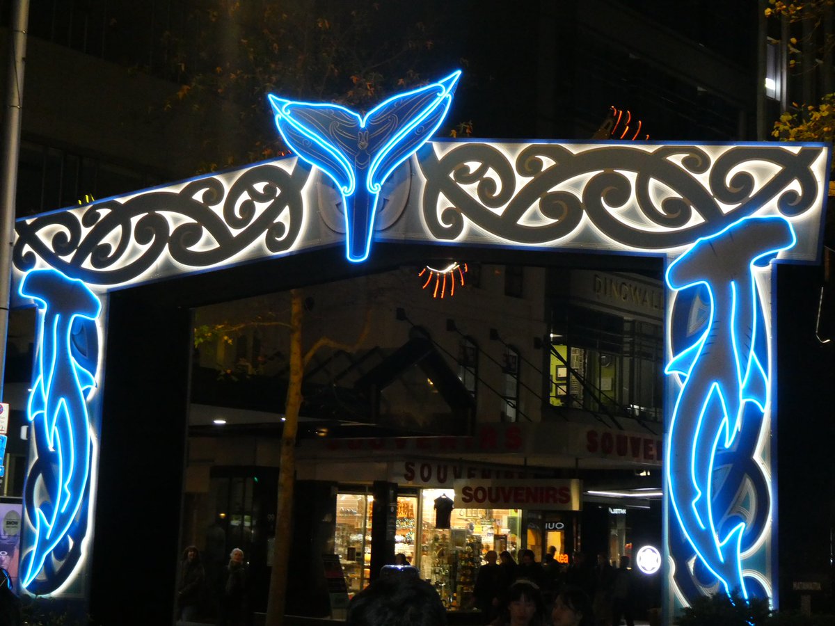 Tūrama at night 🌃