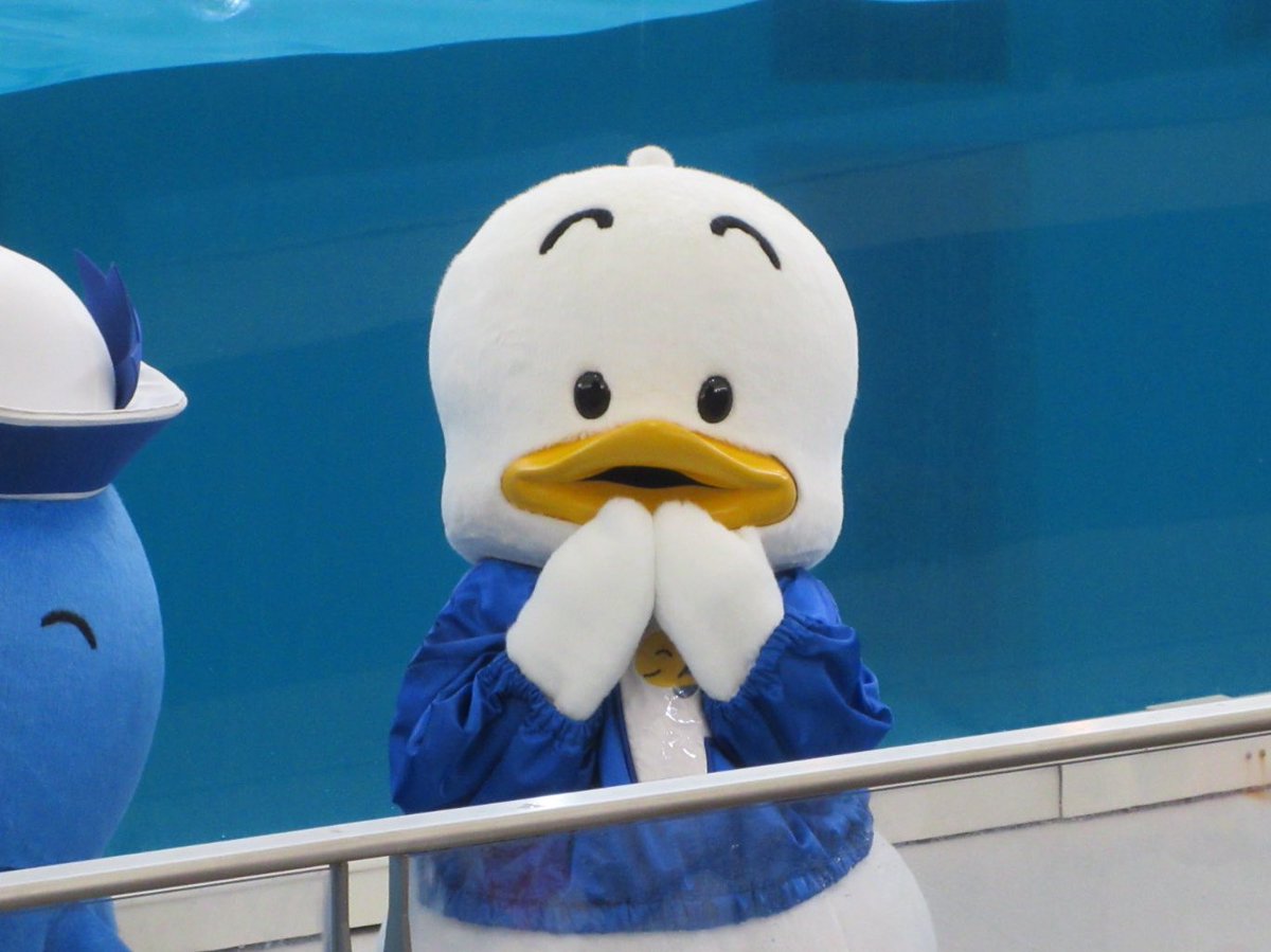 いわしまる tweet media