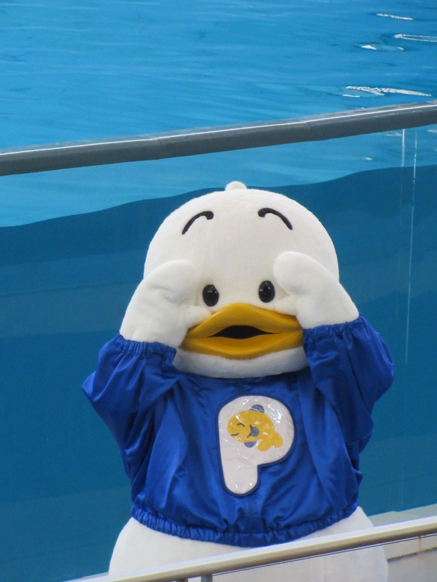 いわしまる tweet media