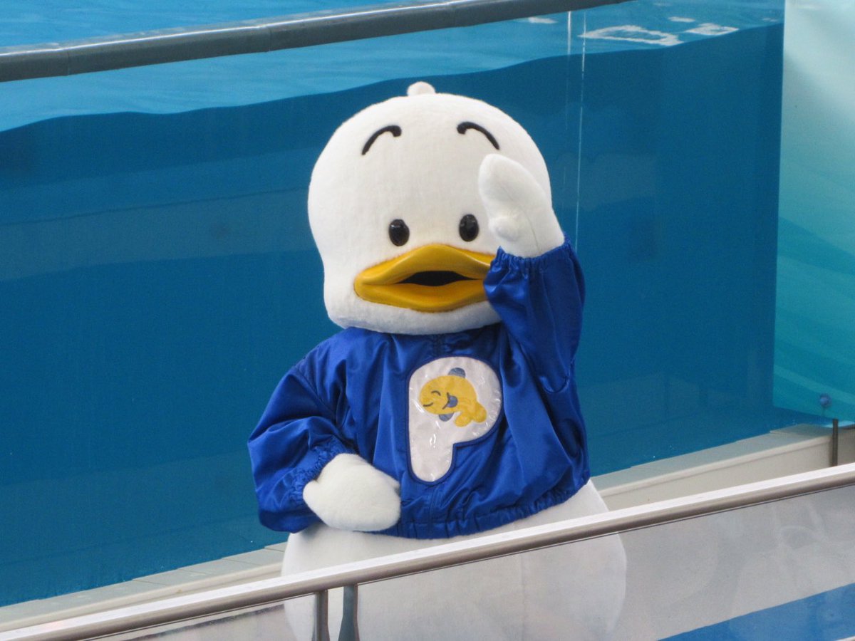 いわしまる tweet media
