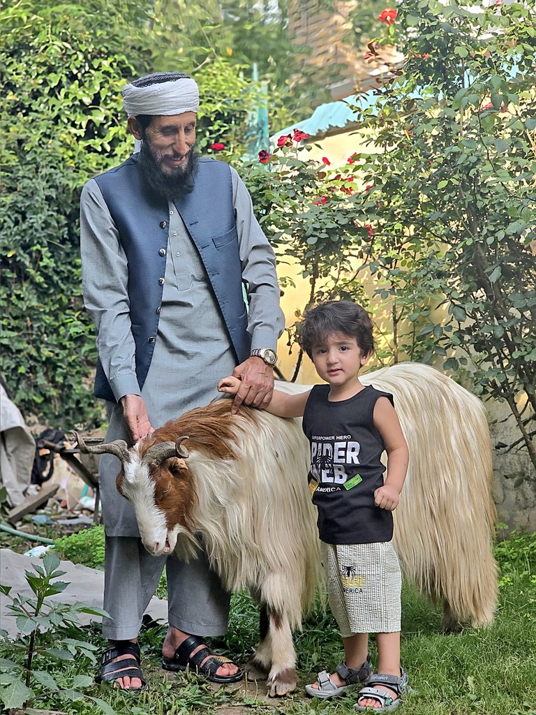 Komail Ahmad Muaviah tweet media