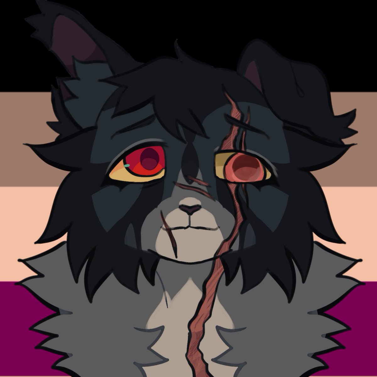 kittypeb's tweet photo. got 2 rqs for nby shadowsight and one for lesbian shadowsight! :3 https://t.co/6aMjZbq7Xe