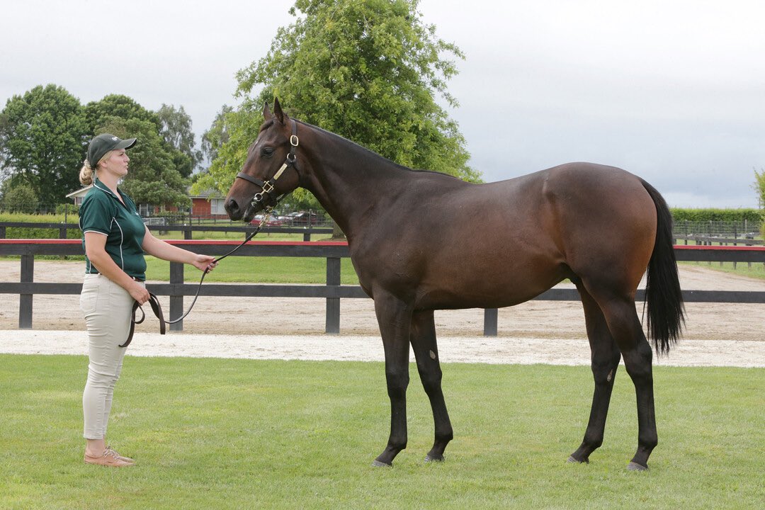 Curraghmore (@curraghmorenz) on Twitter photo Procean (Proisir) went back to back today, winning at Newcastle.
The 3YO gelding has now won 2 of 3 races for the Flannerys.
Bred by Mark Treloar, out Pacific (Ocean Park), a daughter of SW Mygoodgrace.
Purchased by <a href="/cwallerracing/">Chris Waller Racing</a> / <a href="/MulcasterBS/">Mulcaster Bloodstock</a>.
#theprovensource ☘️ Procean (Proisir) went back to back today, winning at Newcastle.
The 3YO gelding has now won 2 of 3 races for the Flannerys.
Bred by Mark Treloar, out Pacific (Ocean Park), a daughter of SW Mygoodgrace.
Purchased by <a href="/cwallerracing/">Chris Waller Racing</a> / <a href="/MulcasterBS/">Mulcaster Bloodstock</a>.
#theprovensource ☘️
