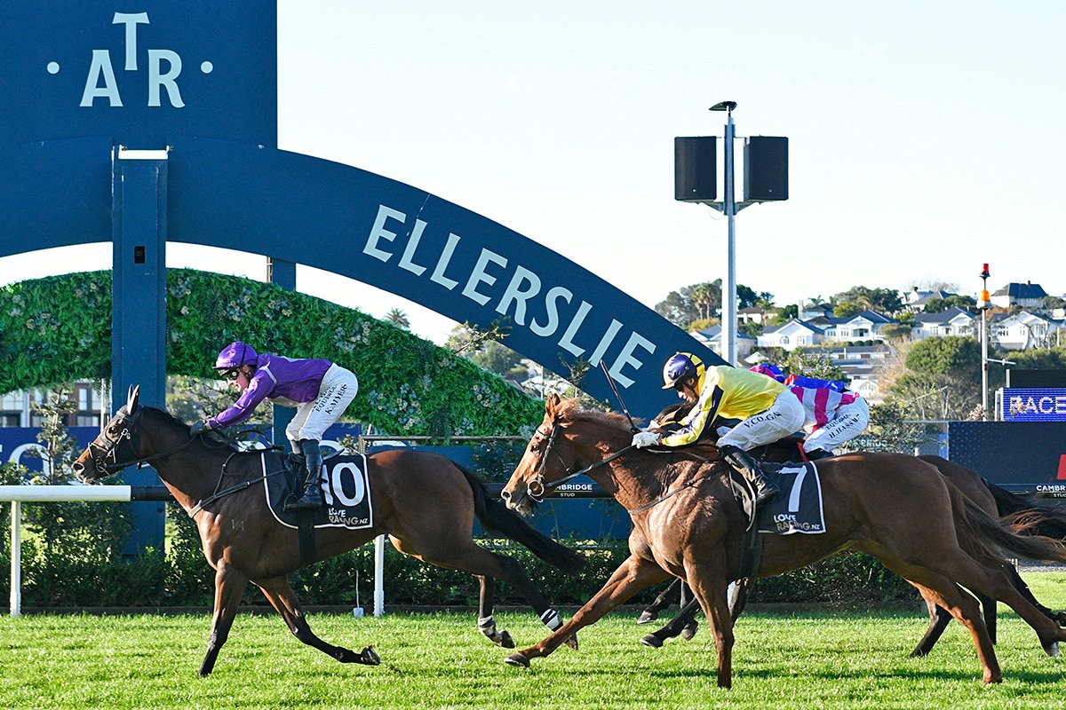 Auckland Thoroughbred Racing (@ellerslie_races) on Twitter photo Double for trainers Simon & Katrina Alexander with promising type Midnight Scandal winning the Evergreen Bloodstock 1400 Double for trainers Simon & Katrina Alexander with promising type Midnight Scandal winning the Evergreen Bloodstock 1400