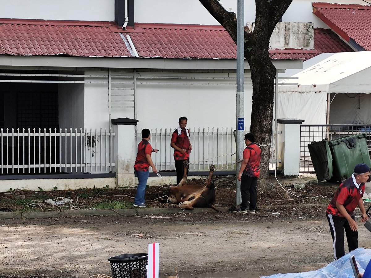 アハマド・ユスマニー tweet media