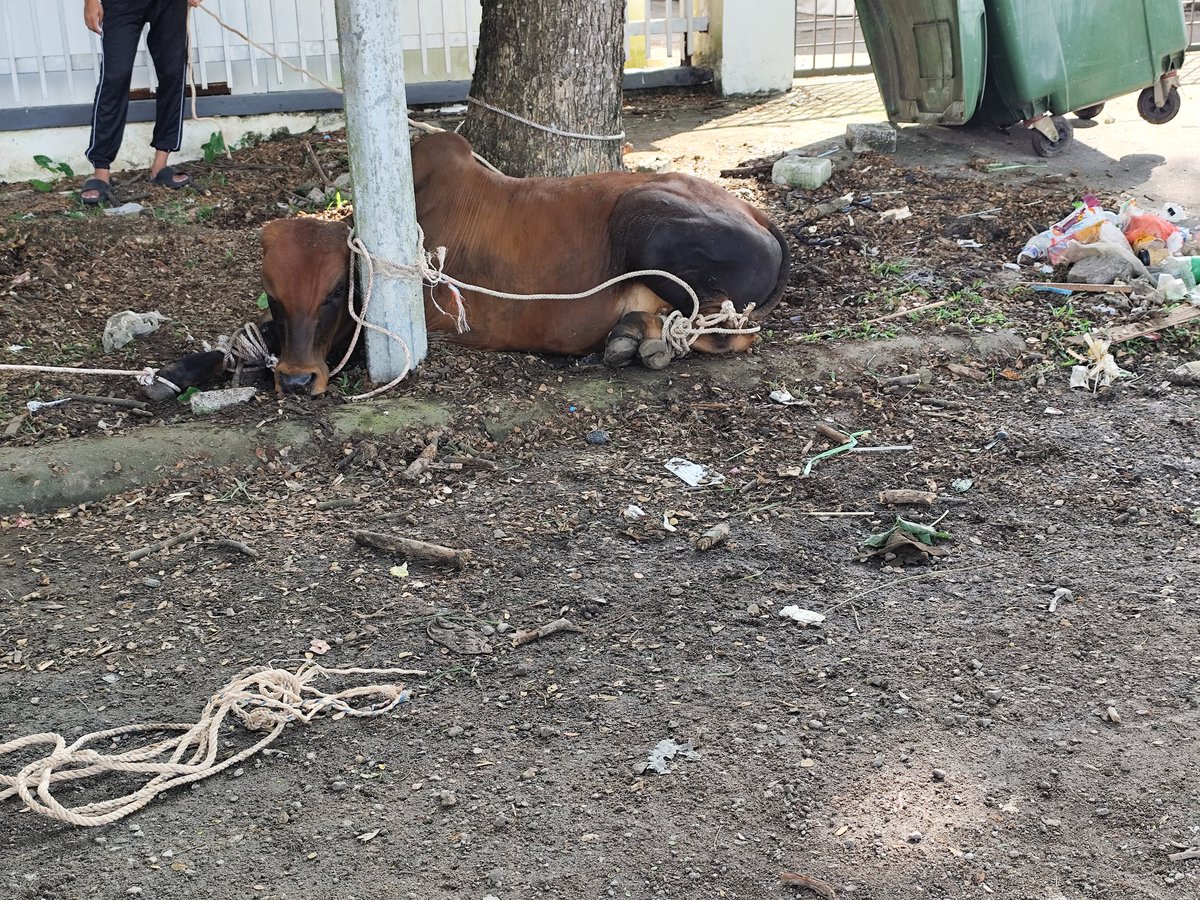 アハマド・ユスマニー tweet media