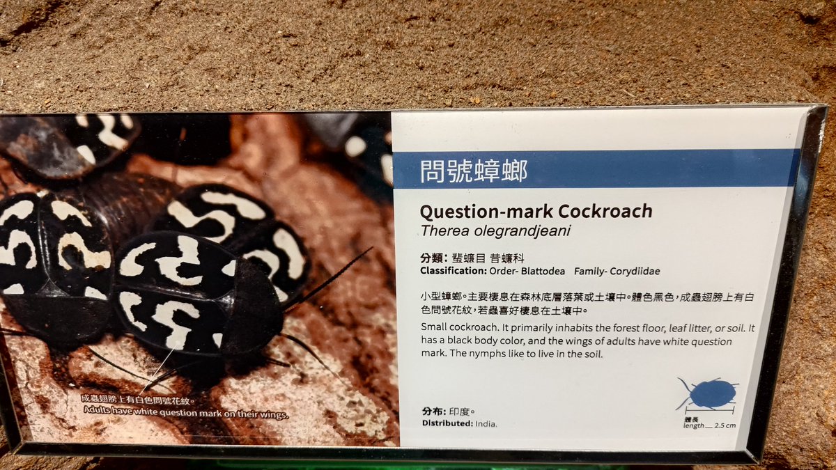 脆上的一些所謂冷知識或其他冷門什麼的，真的是令人蟑螂問號耶。