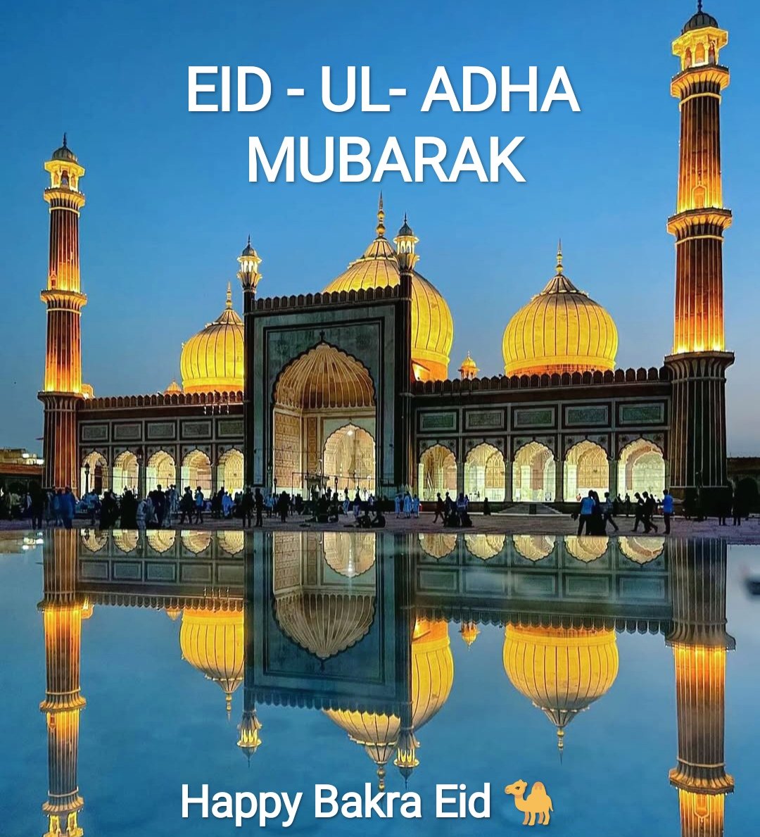 iarman_1's tweet photo. #EidulAdha2025 https://t.co/Ttm64odaiu