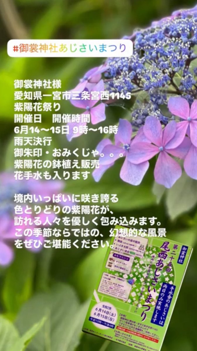 14日は、紫陽花で有名な御裳神社の
尾西あじさい祭りのみもマルシェに出店します‼️
☺️ #尾西あじさい祭り　#御衣神社