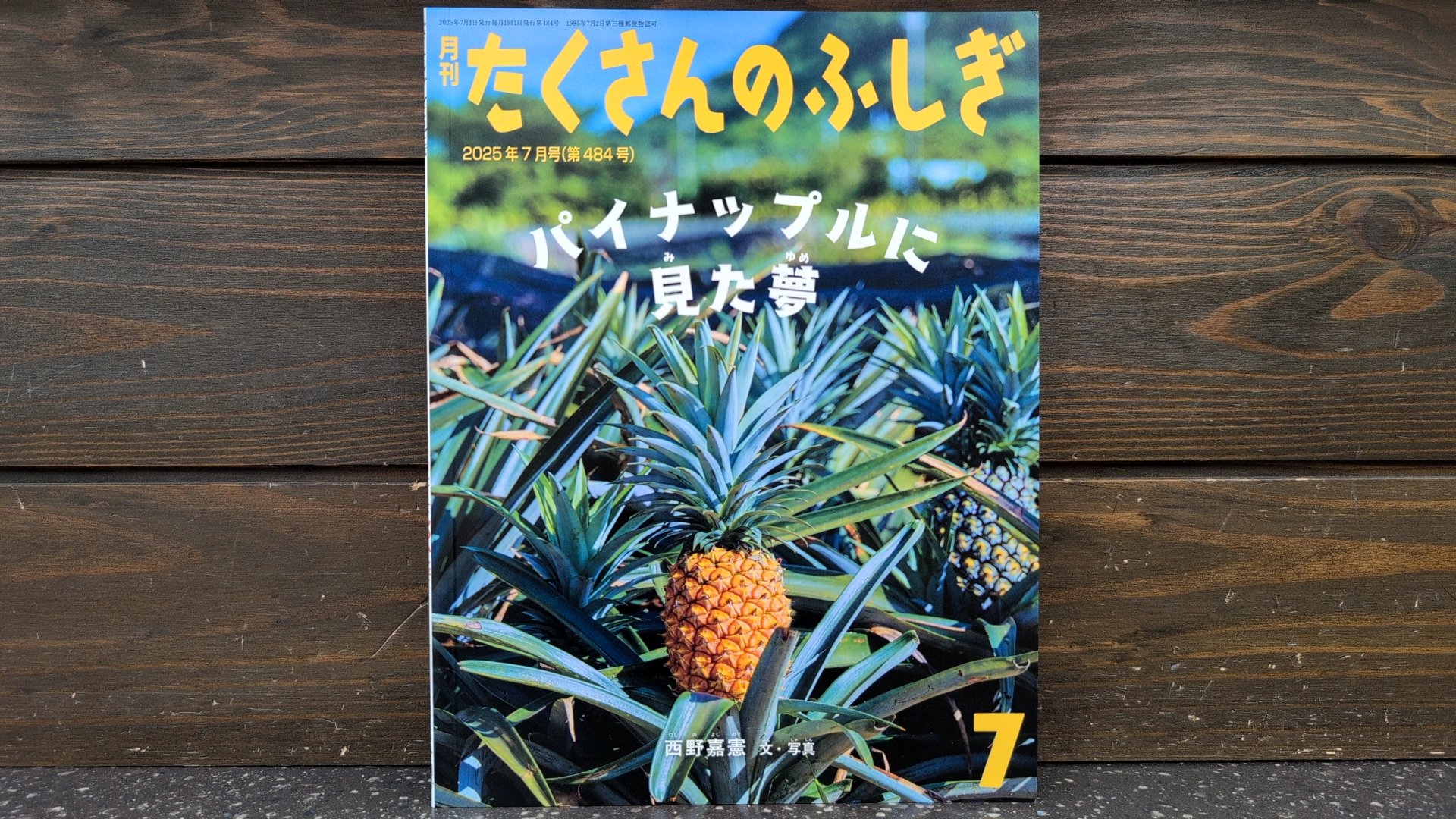 たくさんのふしぎ 20冊セット