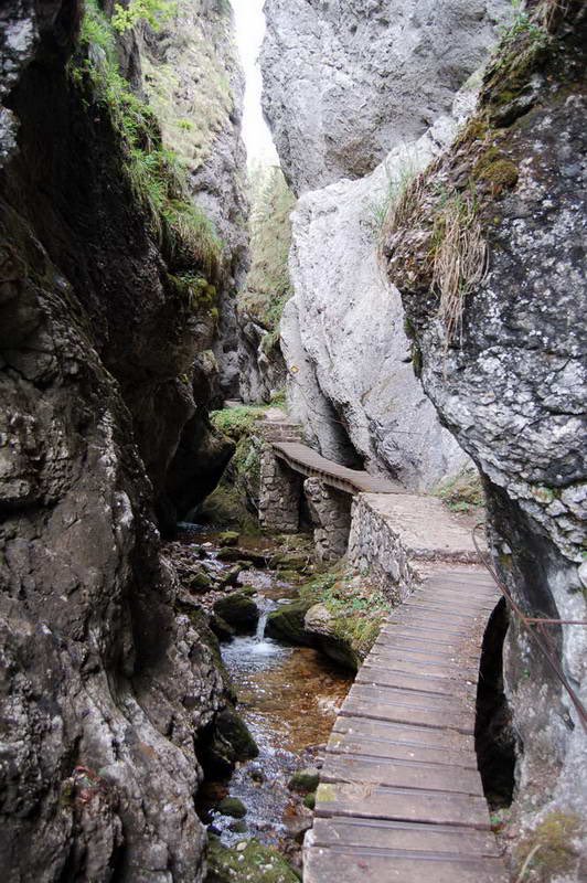 nicoukocher's tweet photo. #Swiss #Canyon ultra #trail #166k
Les premiers arrivés, partis à 14h ce 6 juin devraient arriver vers O8h soit 18h de #course (maxi autorisé 44h), traversant des #paysages bien connus dans la région Val-de-Travers #Neuchâtel #Suisse🇨🇭
En live: https://t.co/g3dShIRBS5
#nature https://t.co/Yj0TC4Bhgl