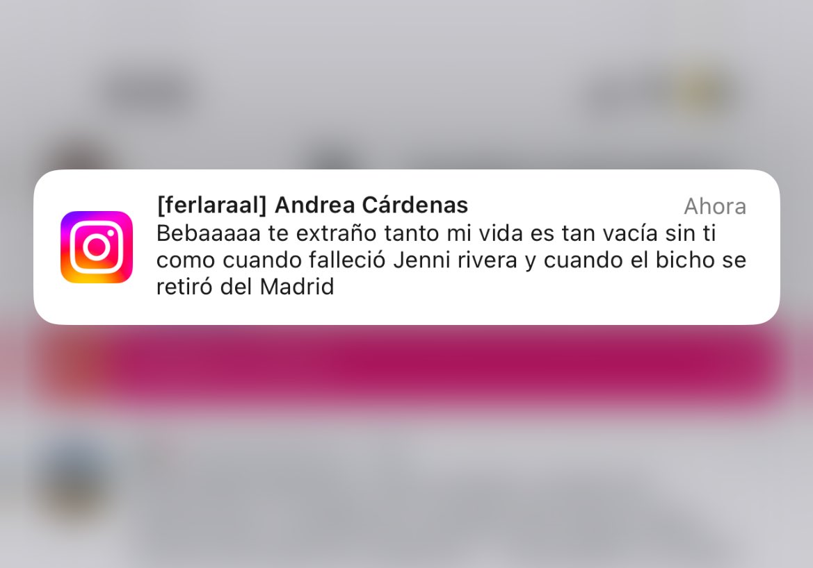 Fernanda Lara Alamina tweet media