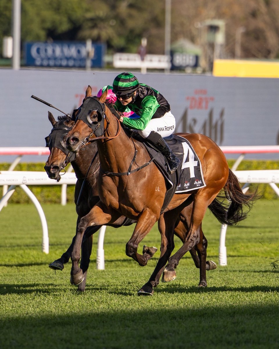 THUNDERLIPS - too big, too strong at Randwick 💪🏻 

A great ride from Anna Roper saw him accelerate late to win in impressive fashion. The five time winner is looking like another astute purchase by <a href="/ClarkeBstock/">Clarke Bloodstock</a> 👏 

Congratulations to his owners 🥳