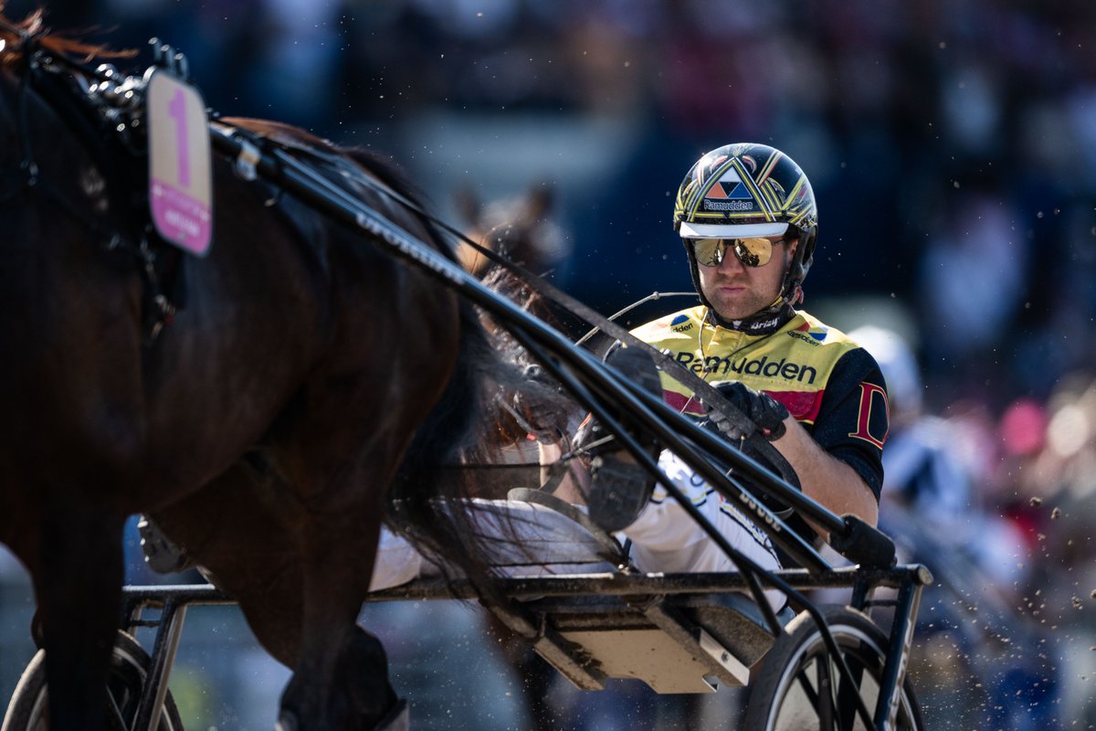 V75 på Tingsryds milebana idag med bl.a. Hustle Rain och Mats Djuse till start. 9 Eminent Kronos (V75-1) har vunnit på Tingsryd tidigare, har utvecklats ytterligare efter det och är vår tipsetta i en högklassig inledning. travtjansten.se.