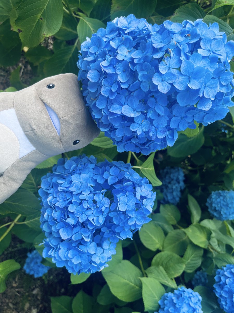 gell_gr's tweet image. 