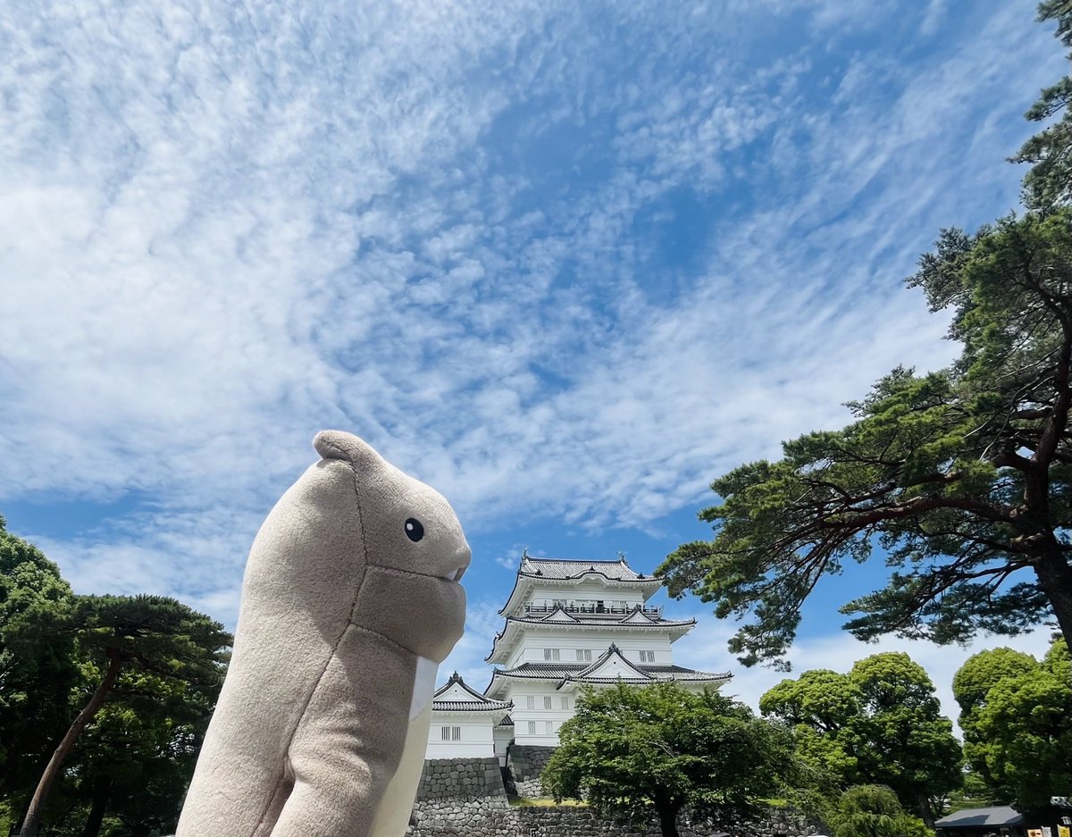 gell_gr's tweet image. 