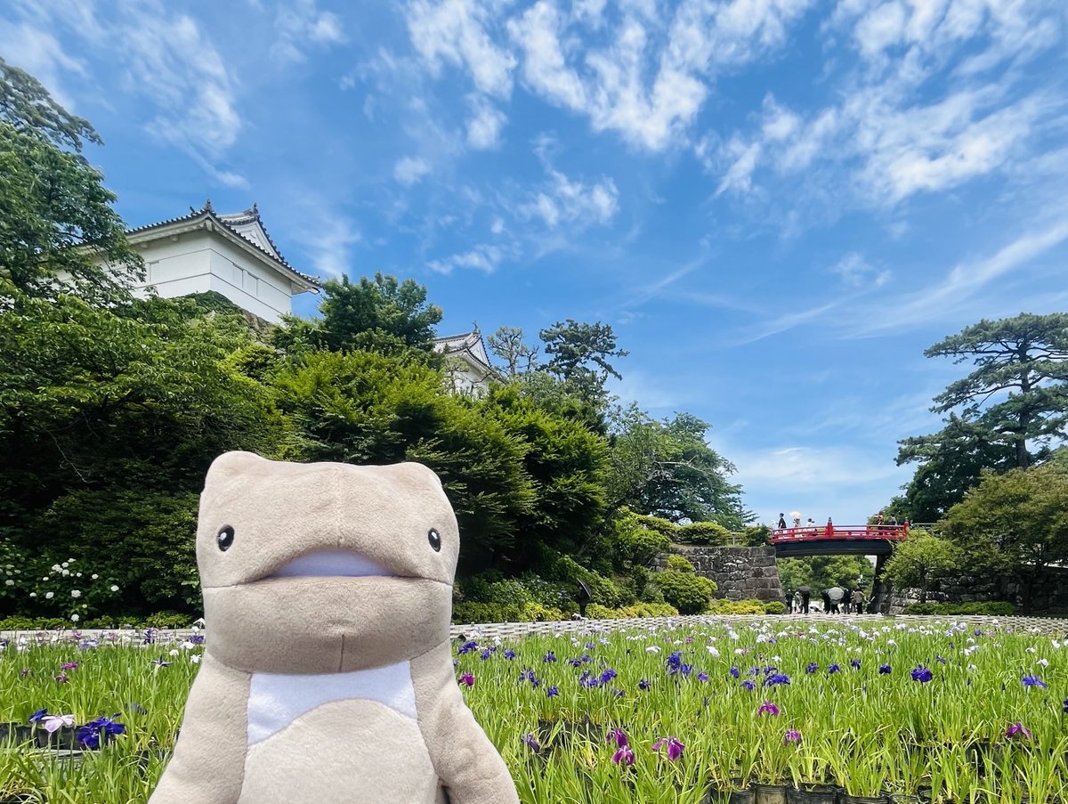 gell_gr's tweet image. 