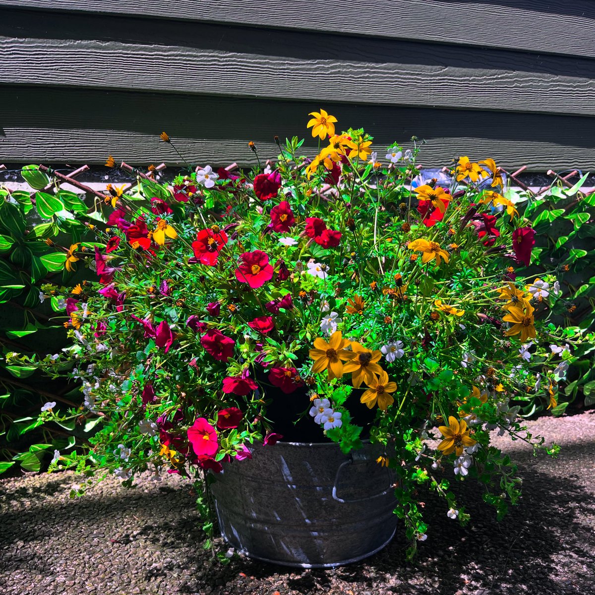 Anna Bukowska tweet media