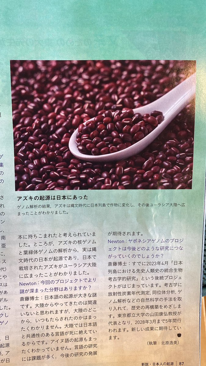 最近話題のアズキの話がニュートンの2024年10月号に載っていました。