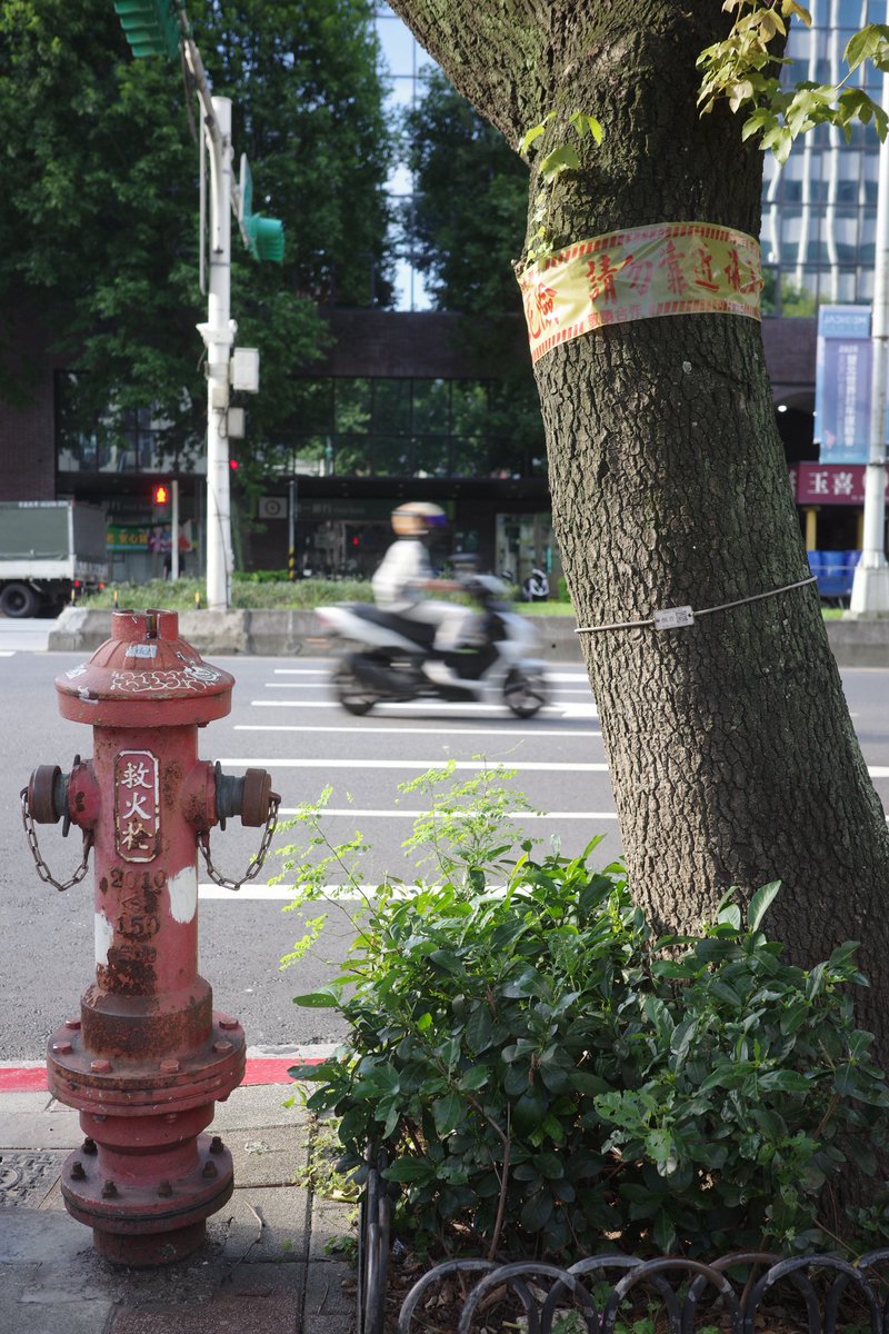 comaz's tweet photo. 機車王国

#gr3x #grsnaps #ricoh #streetphotography #gr_graph #gr_日和 #letssnap_GR
#taipei https://t.co/GqIGYKH0Tj