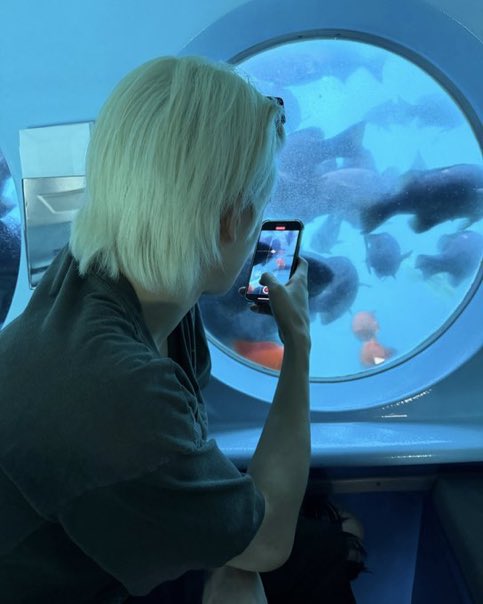 aquarium date sendirian aja