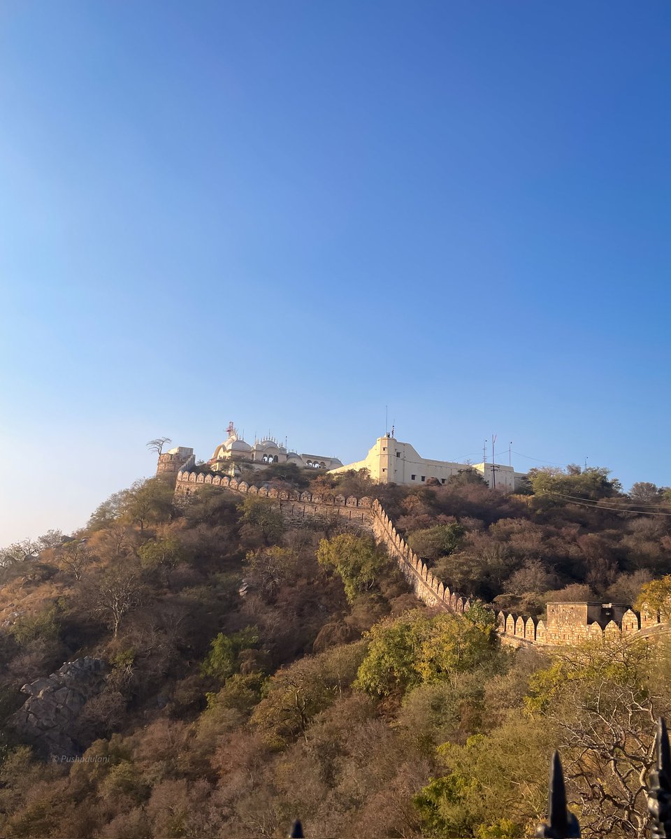 pushp_mr's tweet photo. Shahi Nazariya, Shahi Sheher — Alwar through the Eyes of History.
#alwar #alwarview #rajasthan #balaquila #nikon https://t.co/0ImmLPBQgy