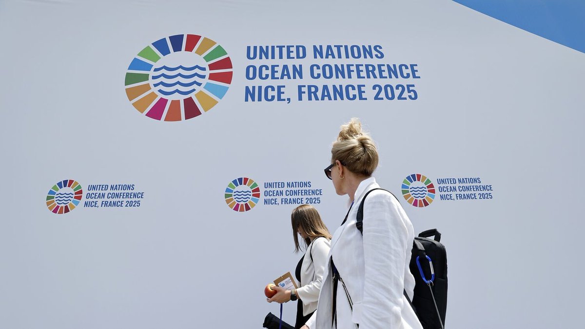 Conférence sur l'océan : face au "décalage entre la communication et l'action", des chercheurs de référence refusent de se rendre à Nice
➡️ l.franceinfo.fr/Ig