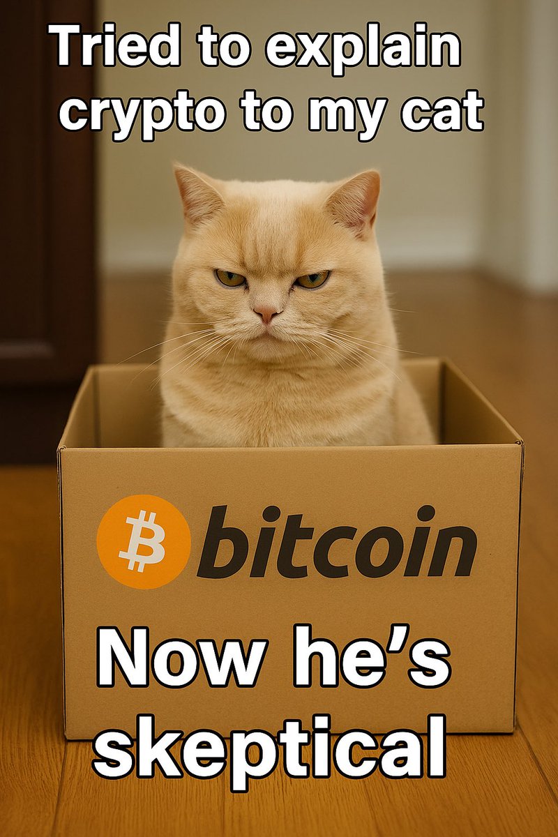 MeowlandsNFT's tweet image. #SkepticalCat #BTCBox #CryptoExplainer #Web3Humor #CryptoCats