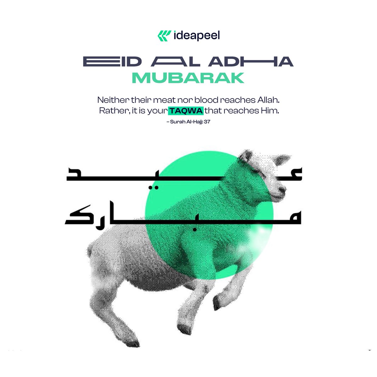 shazzade_'s tweet image. 🌙✨ Eid Mubarak!

From all of us at ideapeel and legalpeel, may this day bring you peace, faith, and countless blessings.

🕊️ “It is your Taqwa that reaches Allah.” — Surah Al-Hajj: 37

#EidMubarak #EidAlAdha #FaithAndDesign #CelebrateWithGratitude
