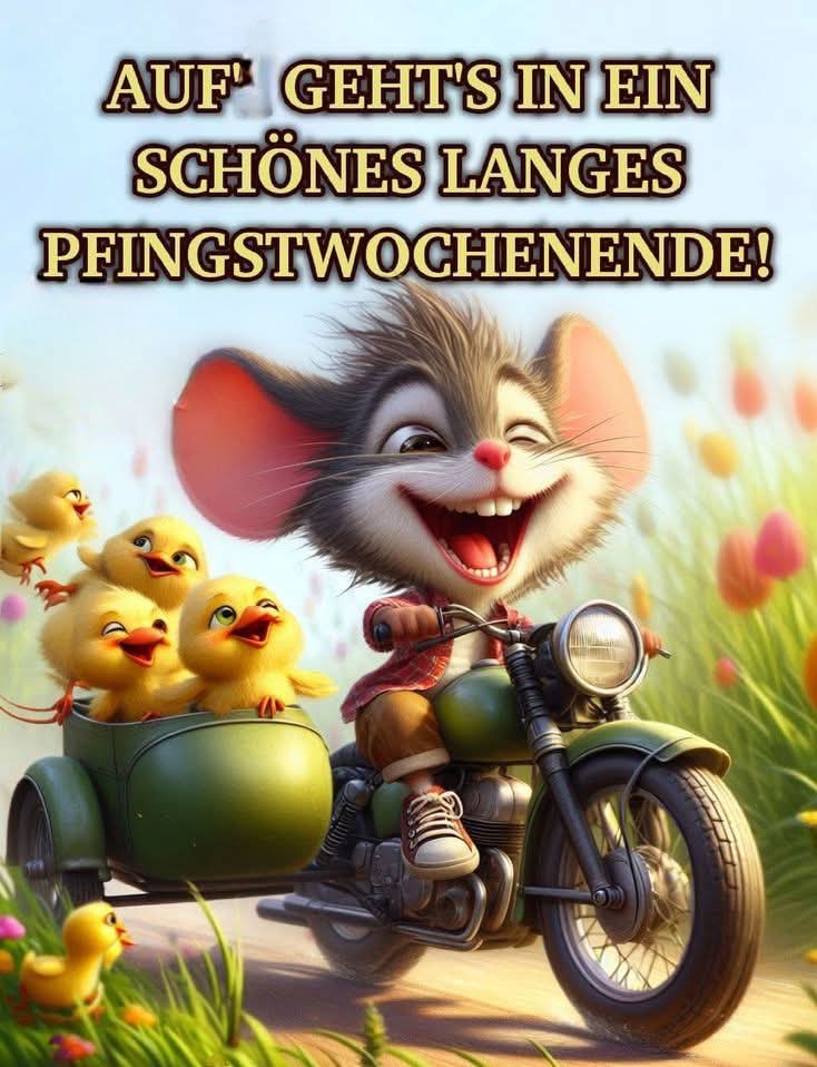 ☕️Einen wunderschönen guten Morgen meine Herzmenschen..❤️💛❤️