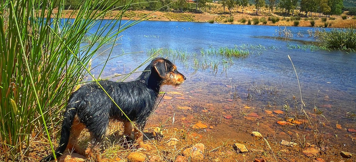 ane_lager's tweet image. Teo es hijo del Guadiana.
