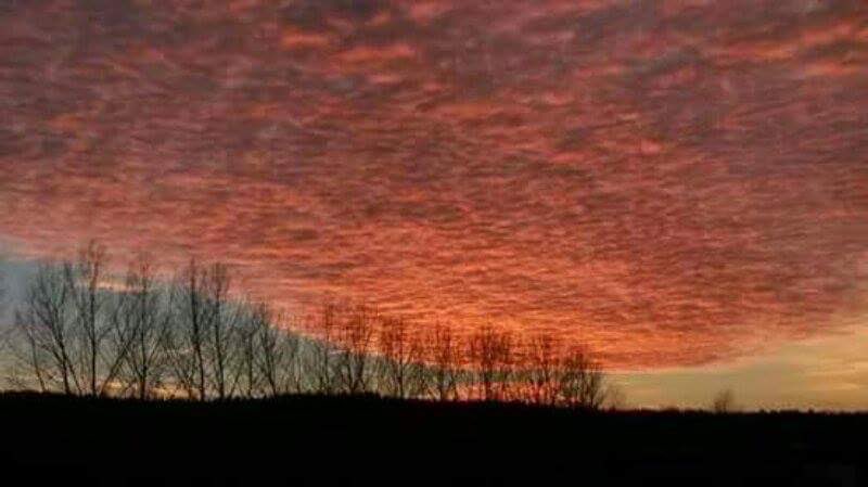 Wünsch euch schöne Pfingsten und schöne Tage 🌤️☀️😎