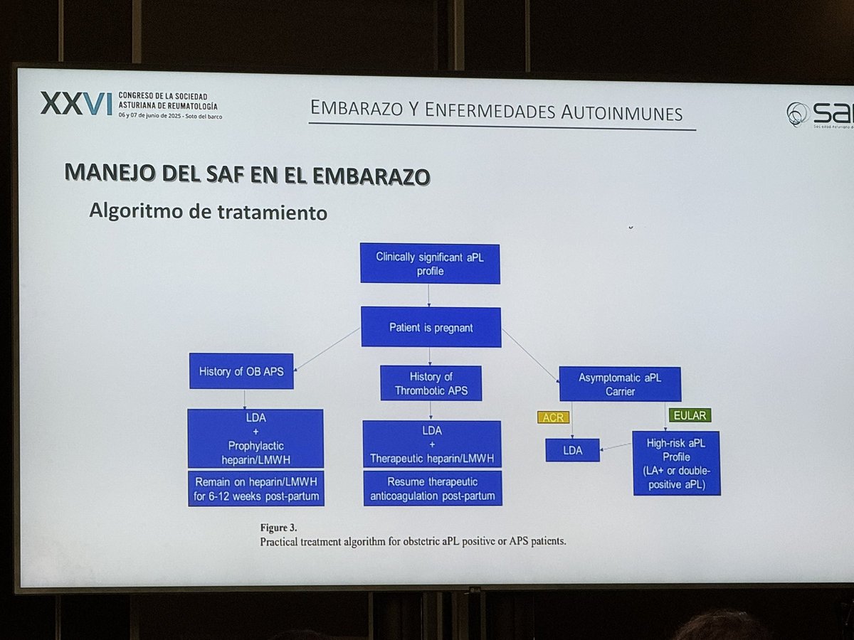 Reumasturias's tweet photo. La Dra. Domínguez ahonda el tema del embarazo en IMIDS #SARE2025
🤰🏻Posible, importante consejo preconcepcional
▪️Fertilidad afectada por inflamación y fármacos gonadotóxicos
🚫iCOX2,NACOs,MTX,MMF,leflunomida
⚠️SAF: manejo estrecho y multidisciplinar 
👀Puerperio https://t.co/ez2wQlQqid