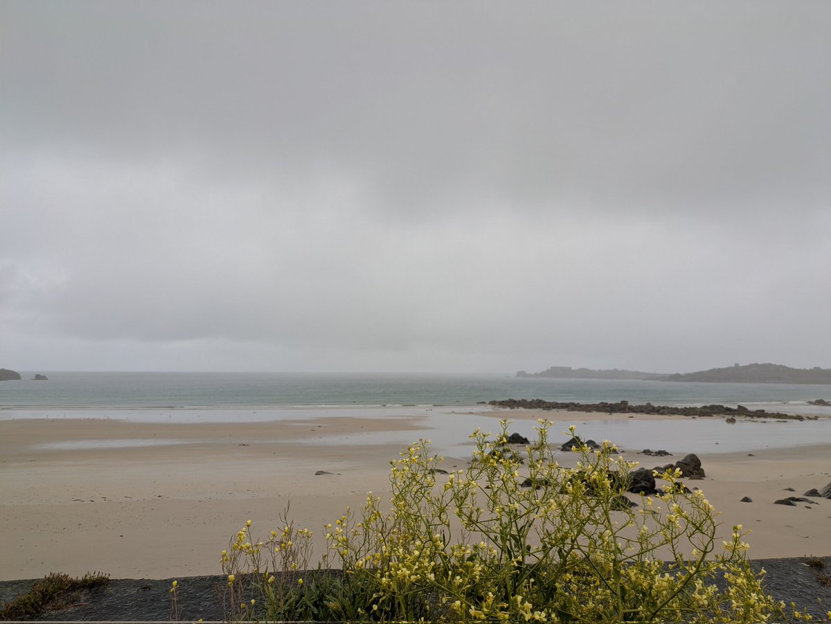 Paul Smith 🇬🇧 tweet media