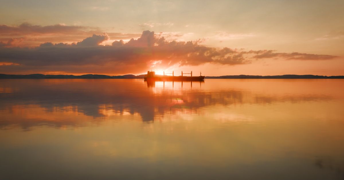 New Report Reveals Biofouling Challenges Faced By Ship Owners &amp; Operators 

Read the news here 👉marineinsight.com/shipping-news/… 

#Ship #Operator #Owner #Biofouling #Shipping #Jotun #Maritime #MarineInsight #Merchantnavy #Merchantmarine #MerchantnavyShips