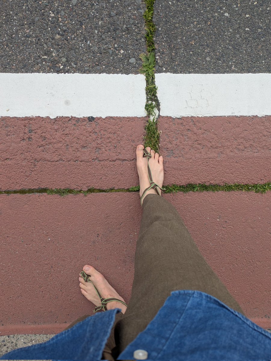 Barefoot Diary tweet media