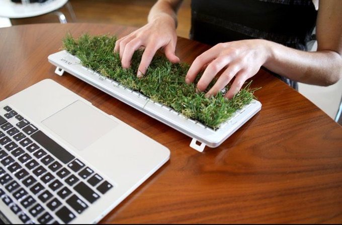 Me this weekend recharging and touching some grass 

Happy weekend everyone!