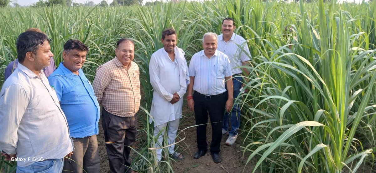 youtu.be/9nAsG00sUeM?si…