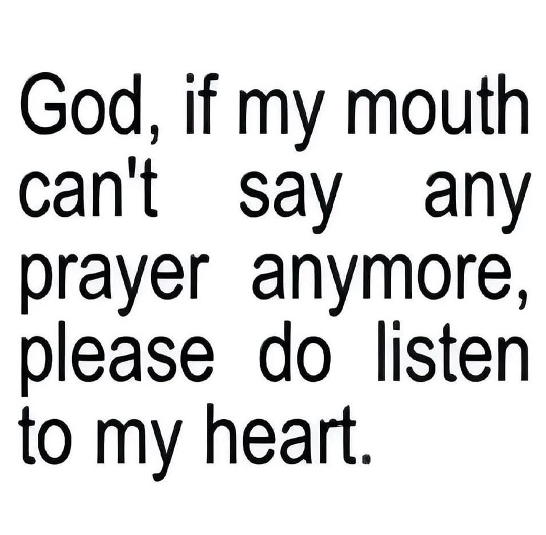 muezza (@runtuhq) on Twitter photo 