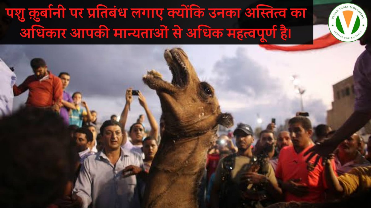 यदि आप अपना प्रेम दर्शाने के लिए किसी जीव की हत्या करते हैं तो वो प्रेम नहीं नफरत हैं। किसी भी बहाने से किसी भी निर्दोष जीव पर अत्याचार करना अनुचित हैं।

#EidulAdha2025 #WorldEnvironmentDay #GoVegan #BloodlessEid #saturdaythoughts