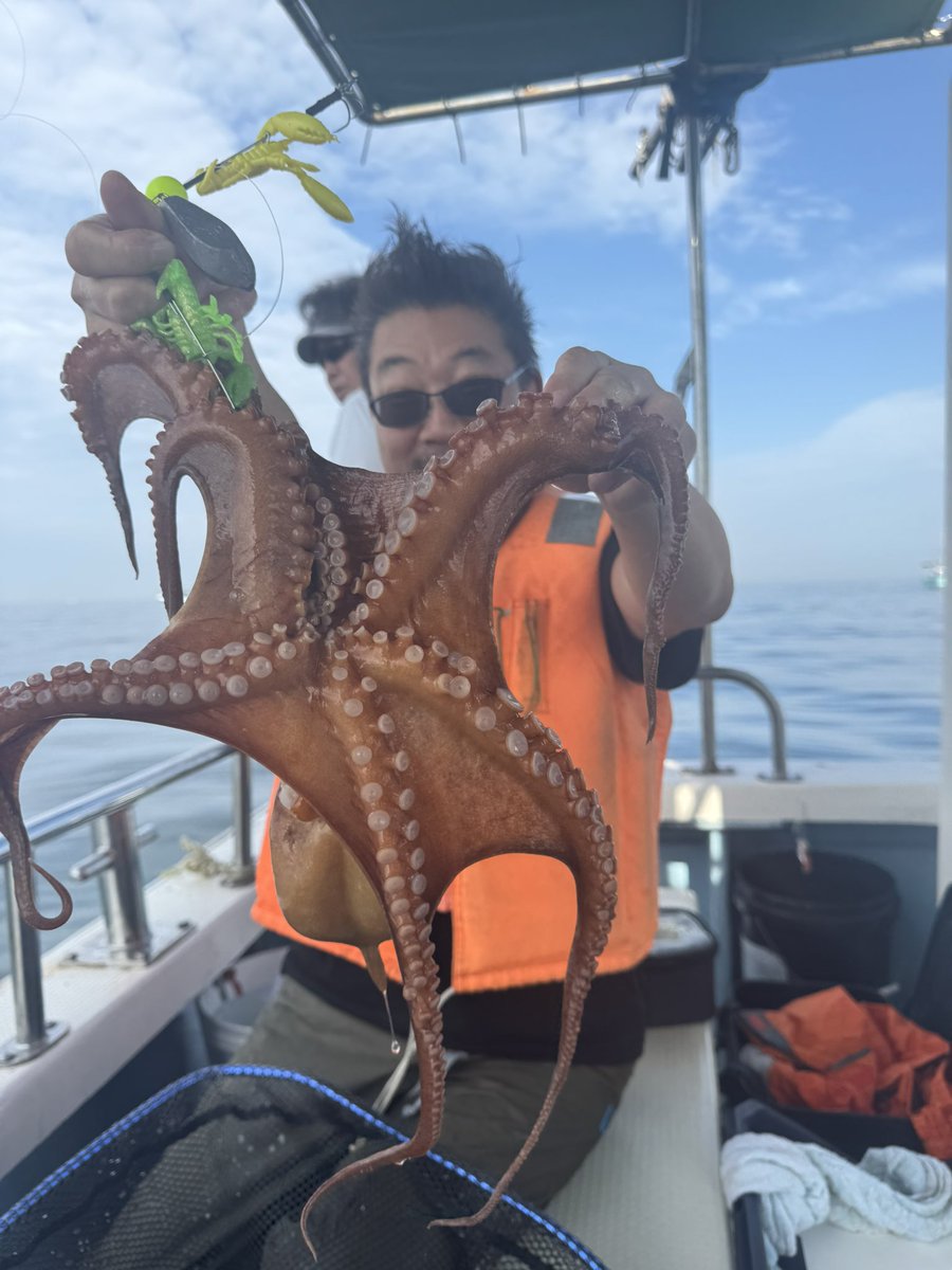 t_miyazaki_cc2's tweet image. 兵庫 明石
恵比寿丸
明石のマダコ釣りに大阪の同業の皆さんと
初めて行きました!
初めてながらつ抜けし、10匹釣りました!
大阪の釣りコミュニティも広がってきて皆さんと仲良くお付き合いできそうです。
そして、タコを持って福岡に移動します!
#船釣り #釣り #たこ #恵比寿丸