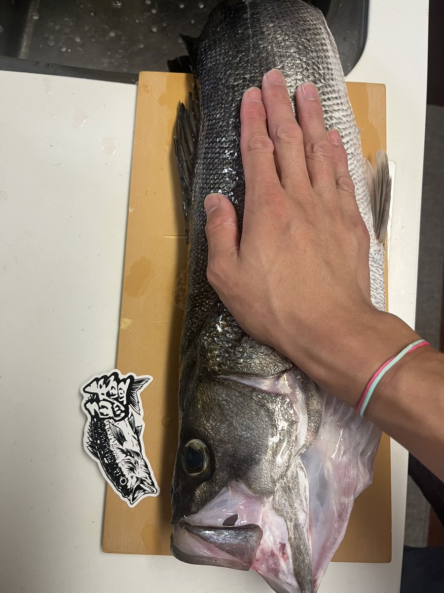 pyonpyonwt's tweet image. 久しぶりに超絶嬉しい魚！！
湘南エリア初シーバス73センチ！