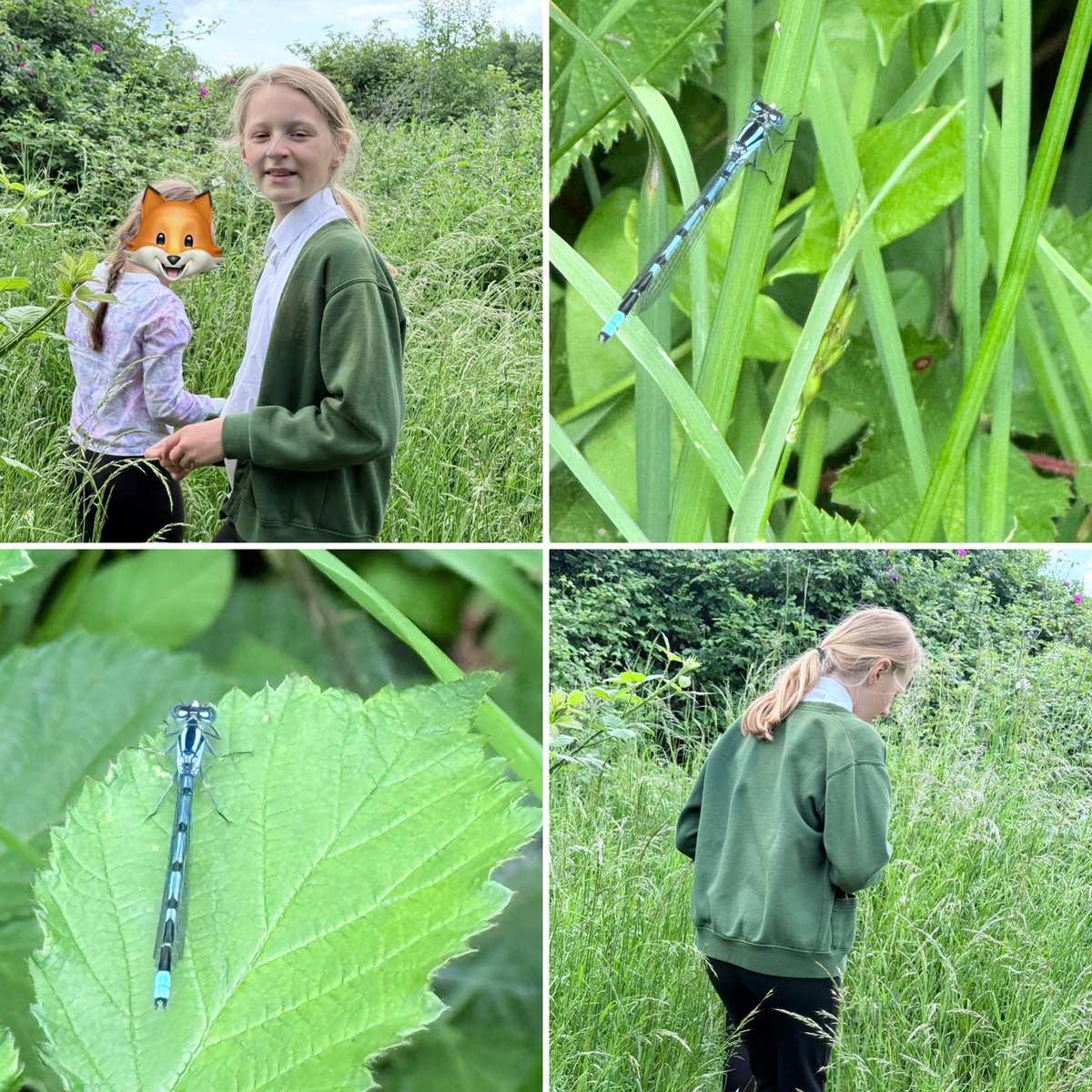 Irthlingborough Forest School tweet media