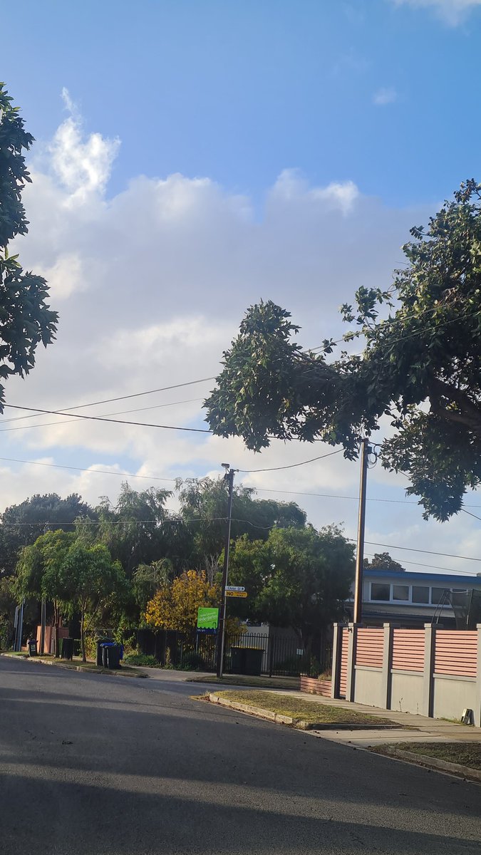 Deb Tribe tweet media