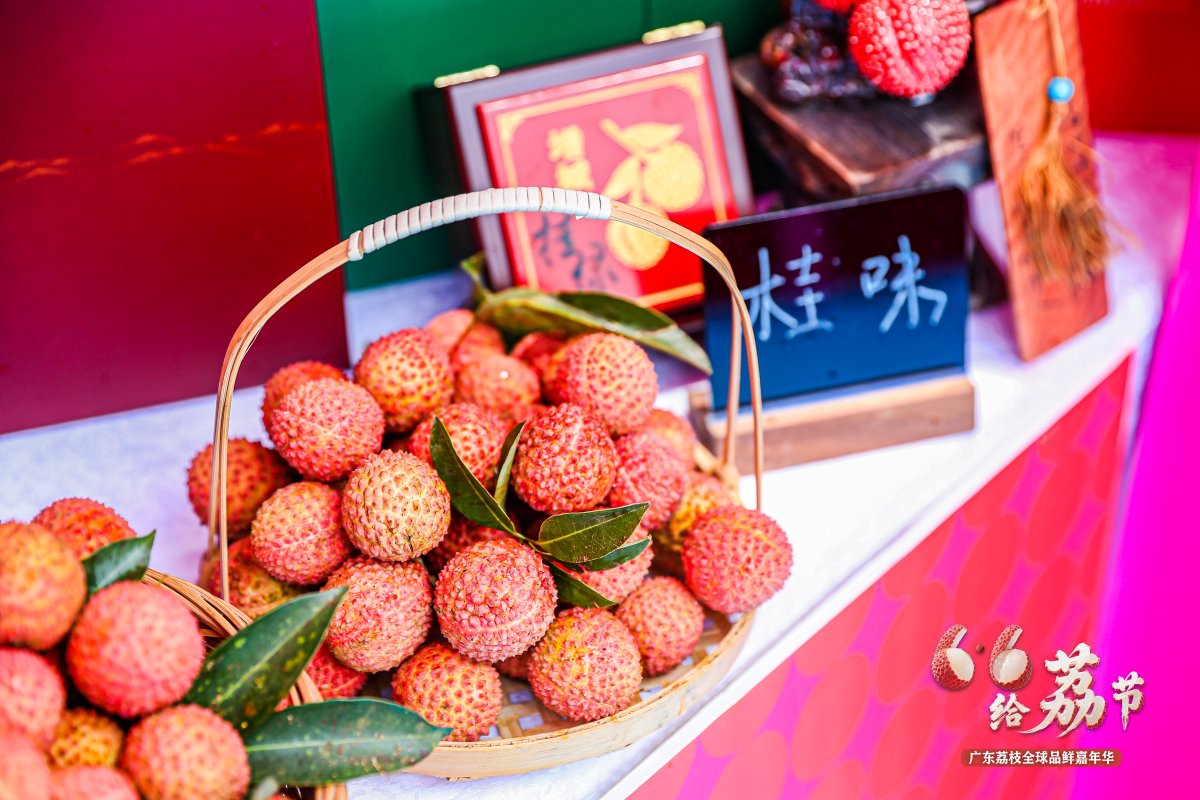 iGuangdong's tweet image. The #Guangdong #Lychee Festival in #Guangzhou on June 6 proved to be a lively event,🎉 with online influencers inviting everyone to savor Guangdong's finest lychees. Thanks to creative lychee treats like soda and pastries, the festival drew the attention of young consumers.🥤🍪