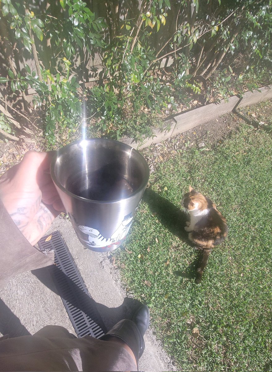 Luckiest girls in the world 

findom findomaus ausfindom femdom asianfindom