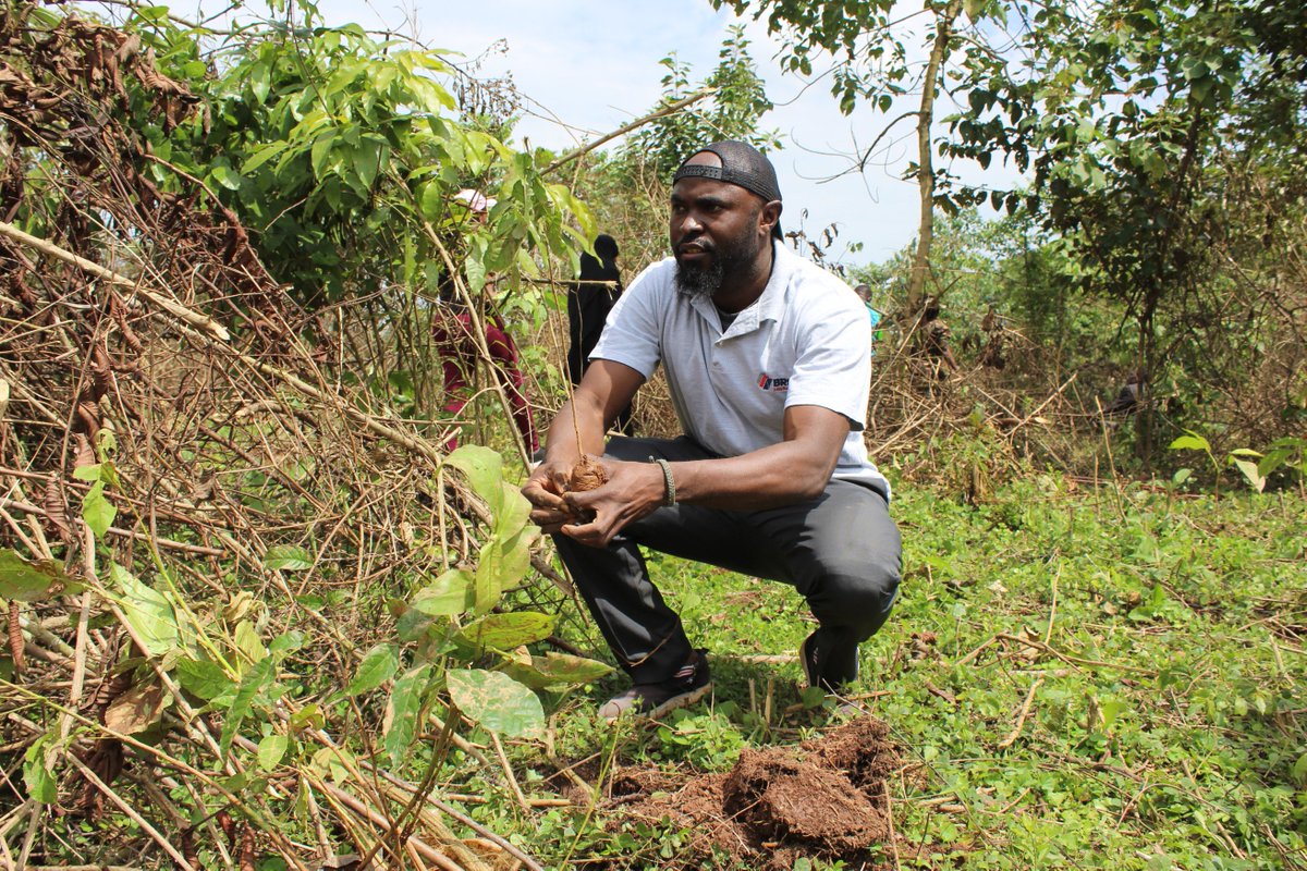 BRS_Kenya's tweet photo. The 5000 donated indigenous seedlings will aid restoration of the ecological integrity and functioning of ecosystems and strengthen communities’ resilience to climate change. https://t.co/HJOqDuIwe5